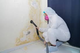 Forensic Mold Investigation in Aberdeen, OH